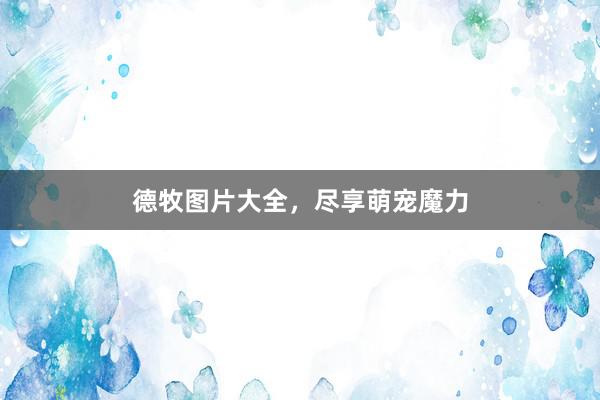 德牧图片大全,尽享萌宠魔力